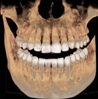 Dr. Bianca B Malin, DDS
